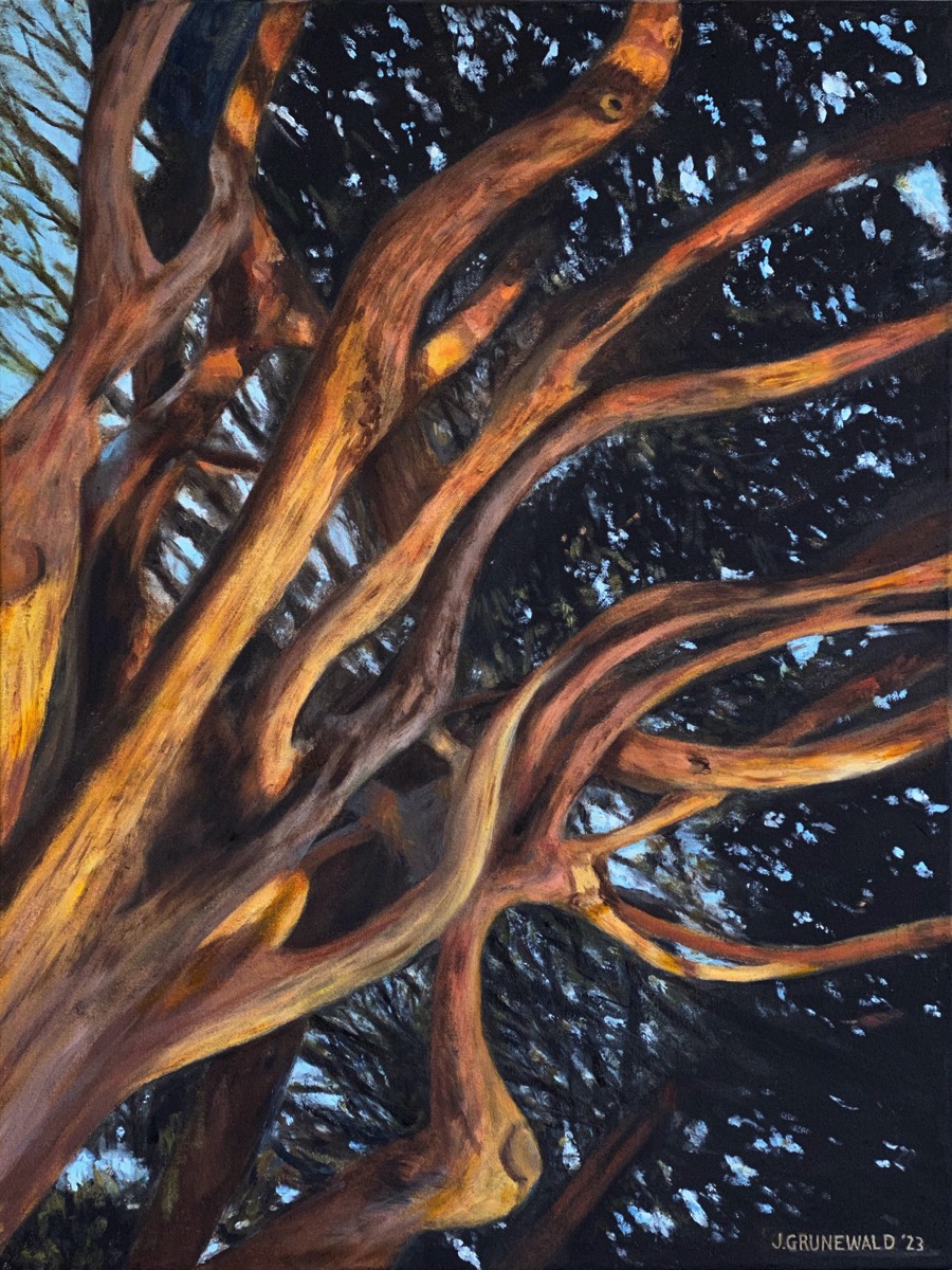 Gnarly | Oil on canvas 18x24